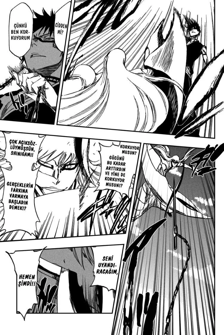 Bleach - Bölüm 325 - Sayfa 13