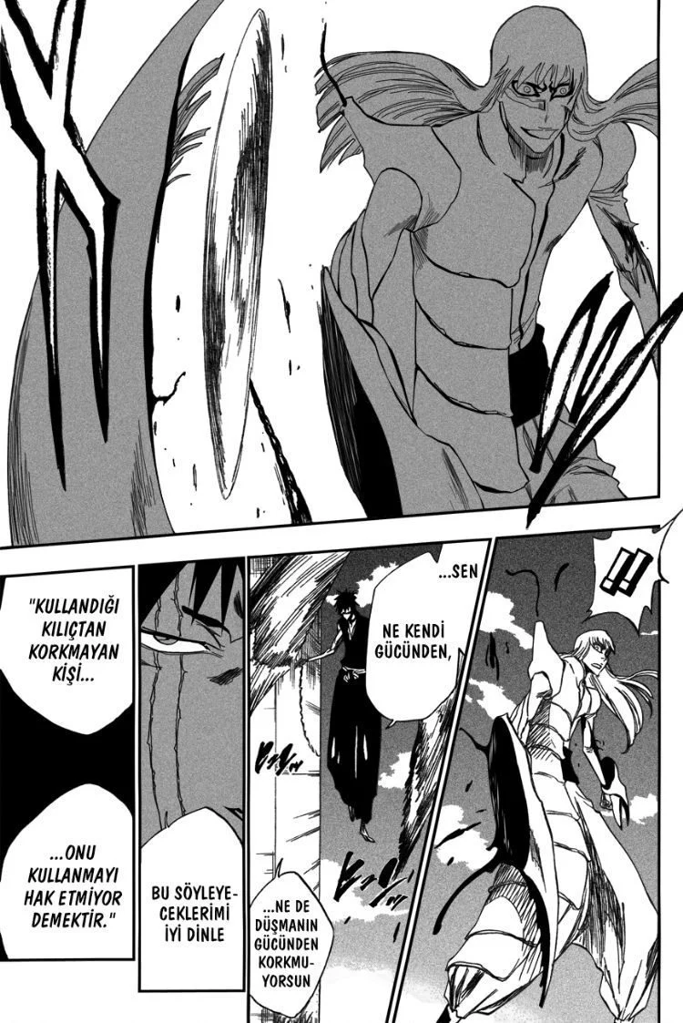 Bleach - Bölüm 325 - Sayfa 15