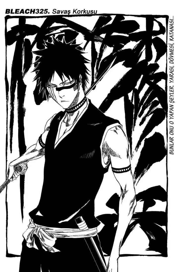Bleach - Bölüm 325 - Sayfa 6