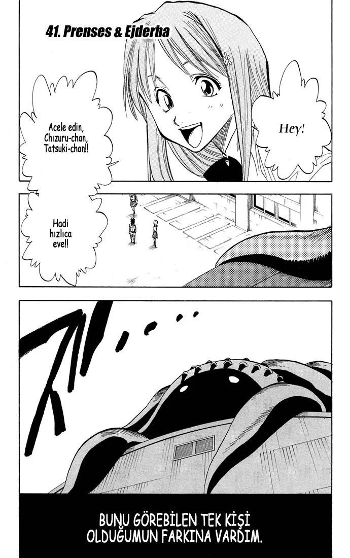 Bleach - Bölüm 41 - Sayfa 17