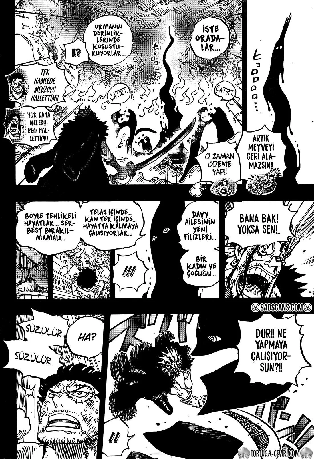 One Piece - Bölüm 1163 - Sayfa 14