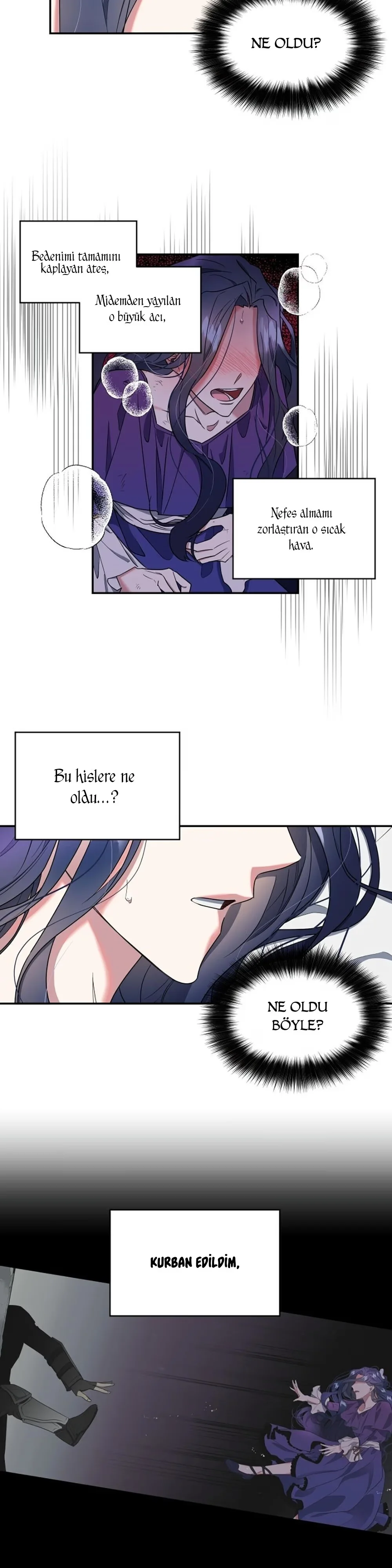 The Sacrificial Princess - Bölüm 2 - Sayfa 13