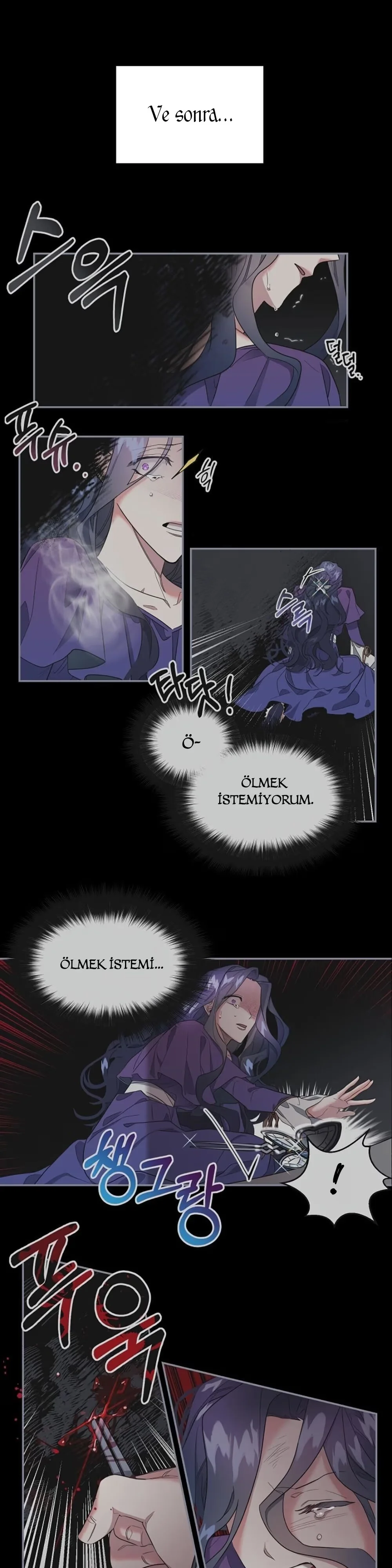 The Sacrificial Princess - Bölüm 2 - Sayfa 14
