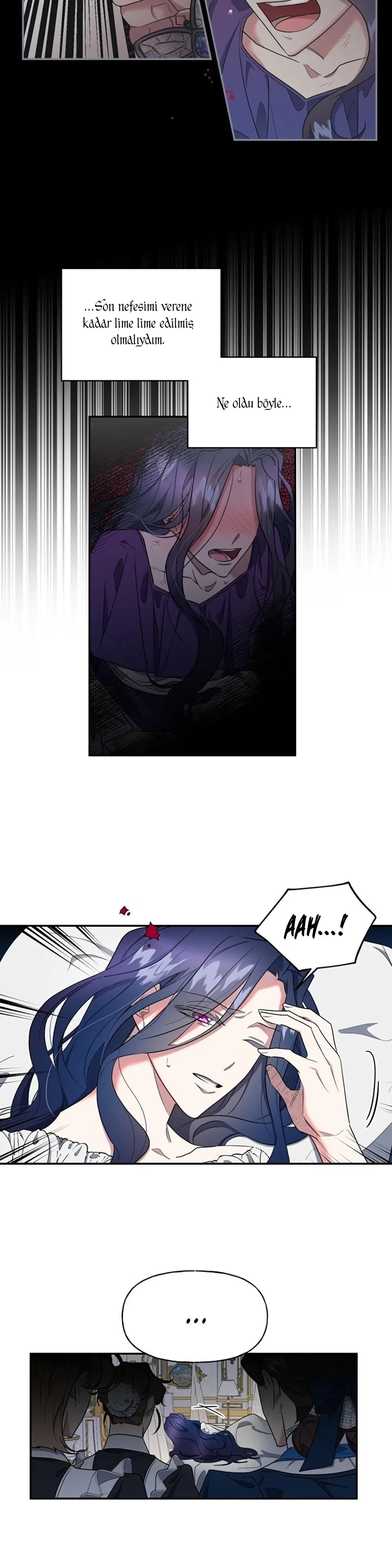 The Sacrificial Princess - Bölüm 2 - Sayfa 15