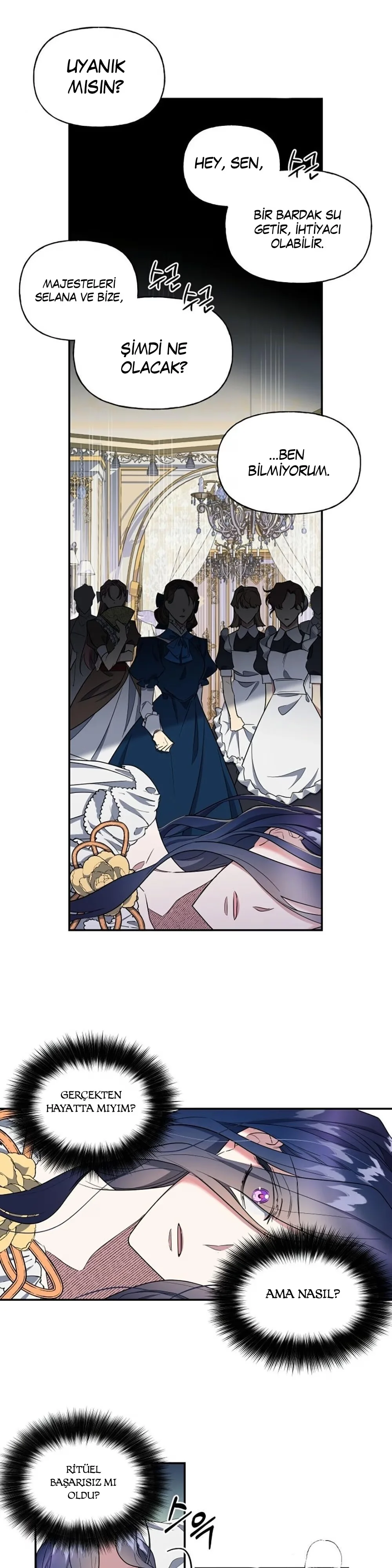 The Sacrificial Princess - Bölüm 2 - Sayfa 16