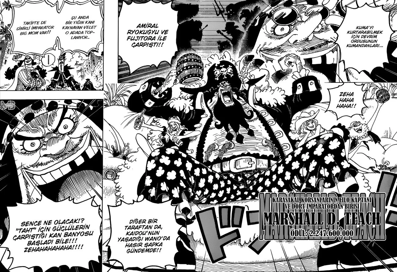 One Piece - Bölüm 925 - Sayfa 10