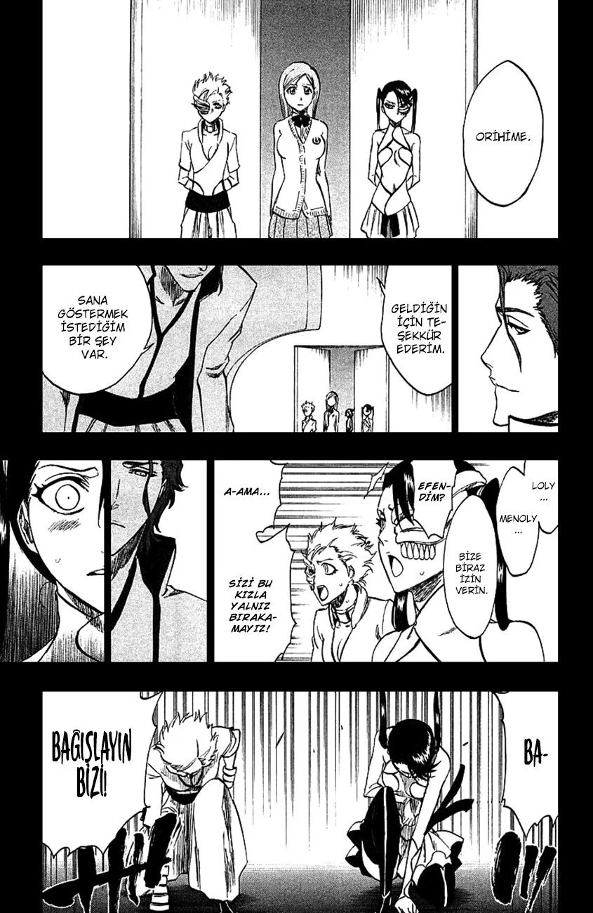 Bleach - Bölüm 249 - Sayfa 13