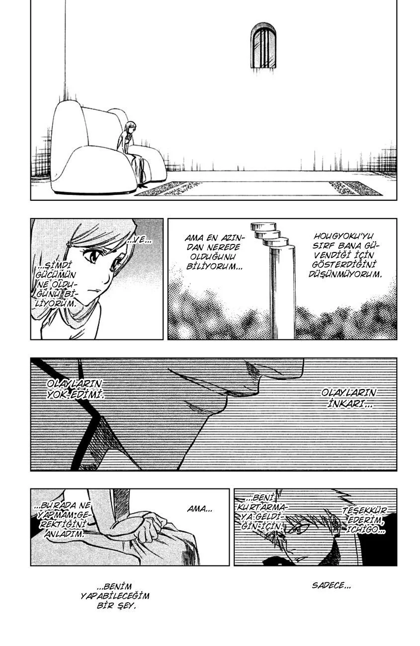 Bleach - Bölüm 249 - Sayfa 17