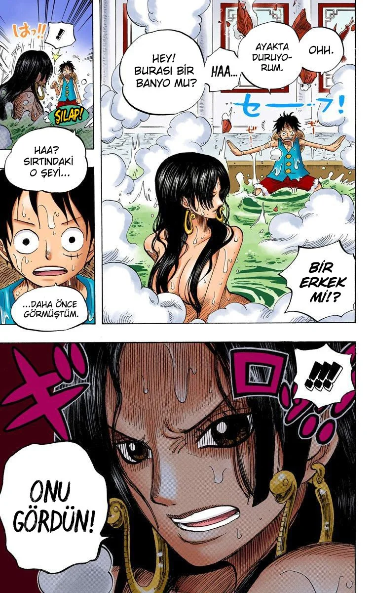 One Piece - Bölüm 517 - Sayfa 19