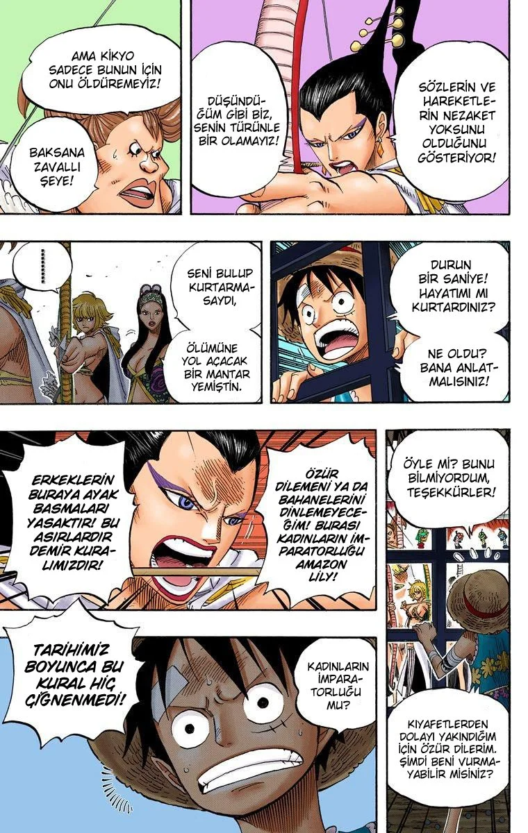 One Piece - Bölüm 515 - Sayfa 10