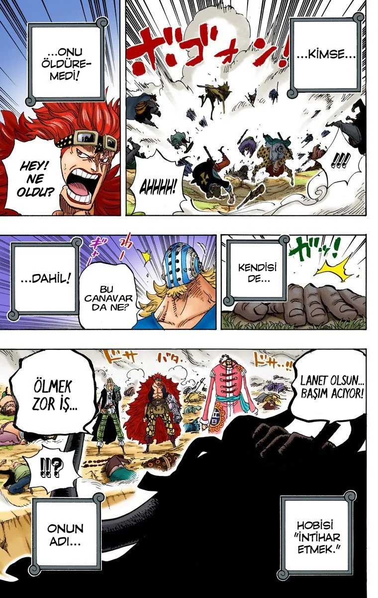 One Piece - Bölüm 795 - Sayfa 15