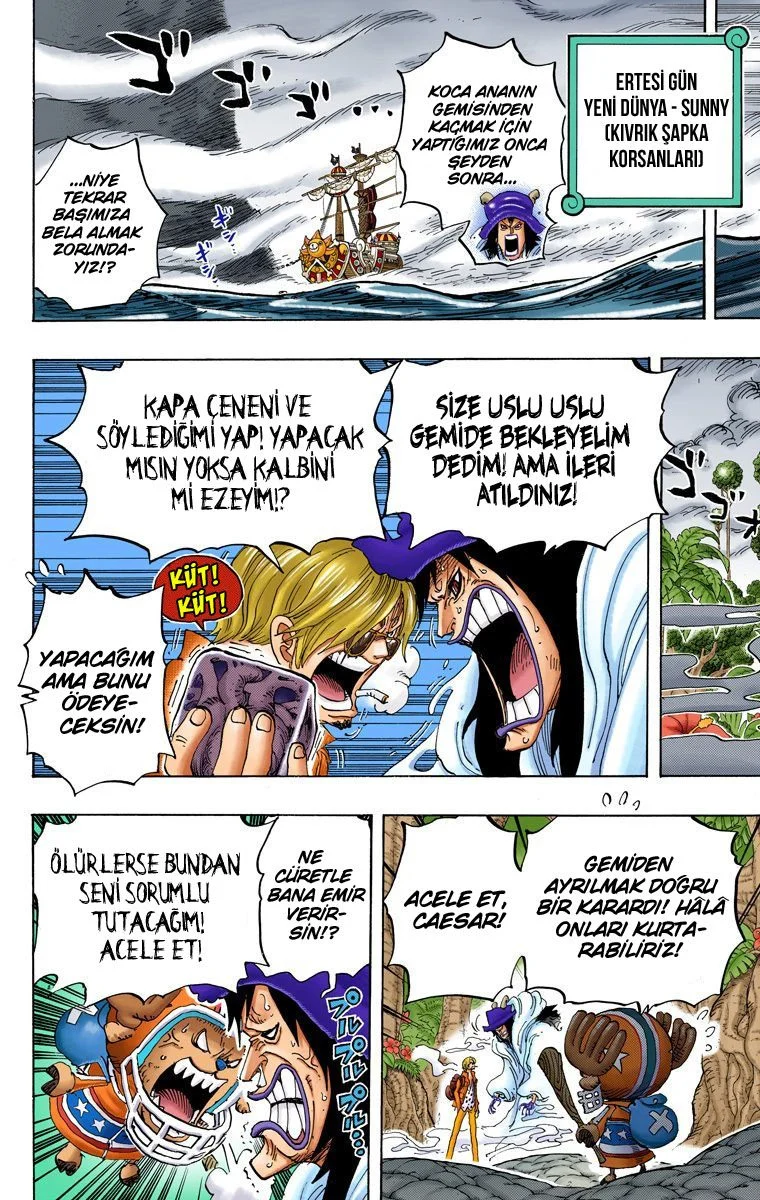 One Piece - Bölüm 795 - Sayfa 4