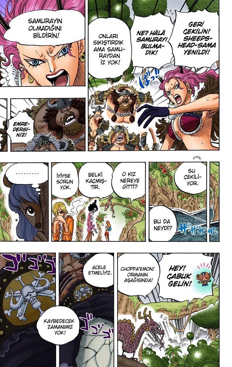 One Piece - Bölüm 795 - Sayfa 9