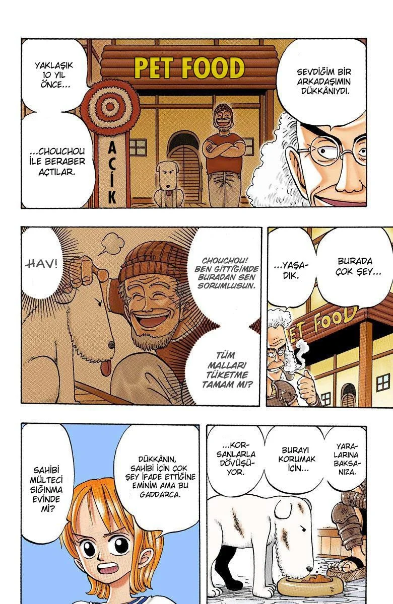 One Piece - Bölüm 12 - Sayfa 11