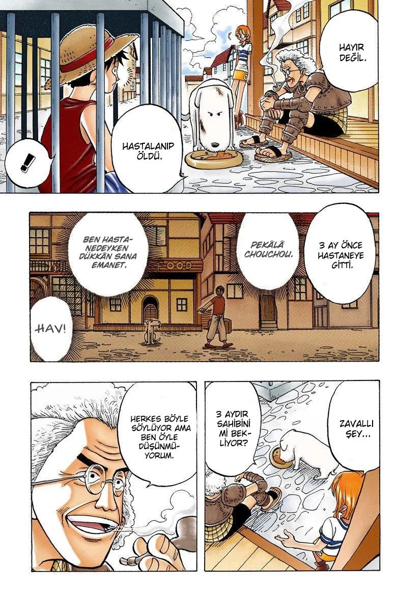 One Piece - Bölüm 12 - Sayfa 12