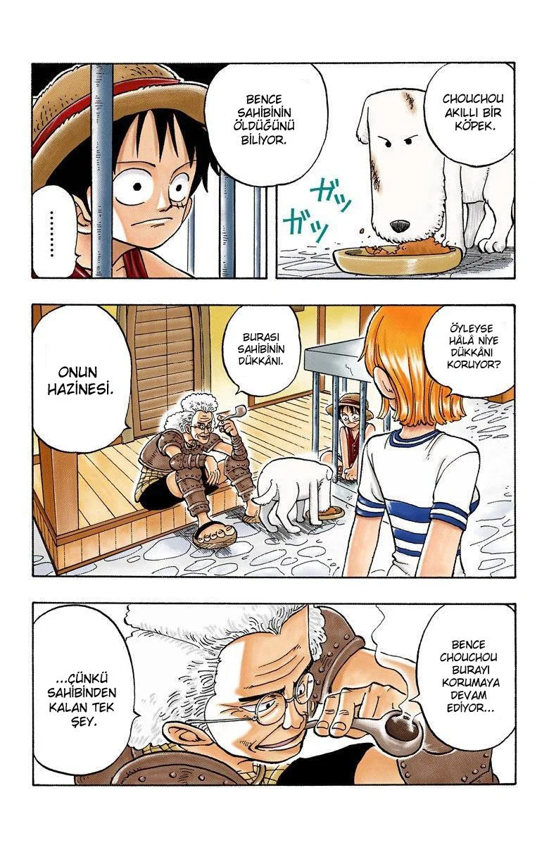 One Piece - Bölüm 12 - Sayfa 13