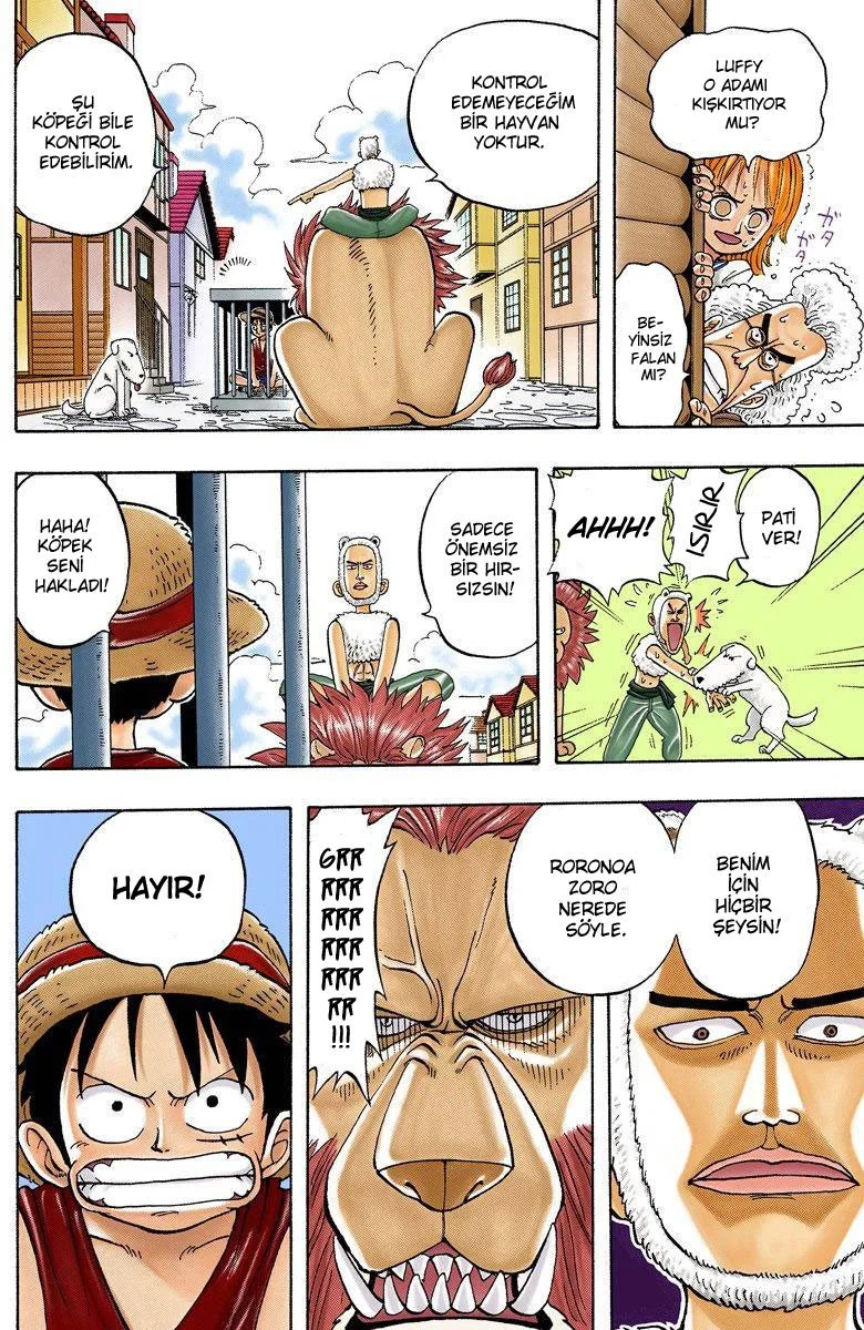 One Piece - Bölüm 12 - Sayfa 17