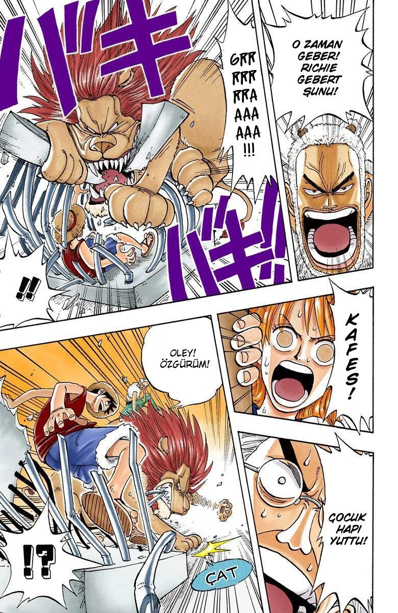 One Piece - Bölüm 12 - Sayfa 18