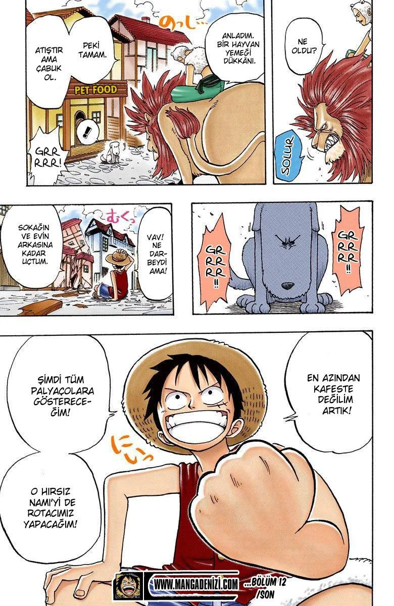 One Piece - Bölüm 12 - Sayfa 20