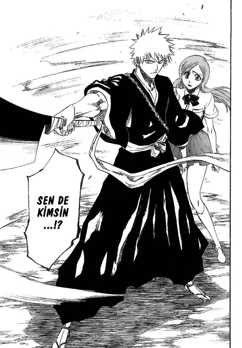 Bleach - Bölüm 192 - Sayfa 17