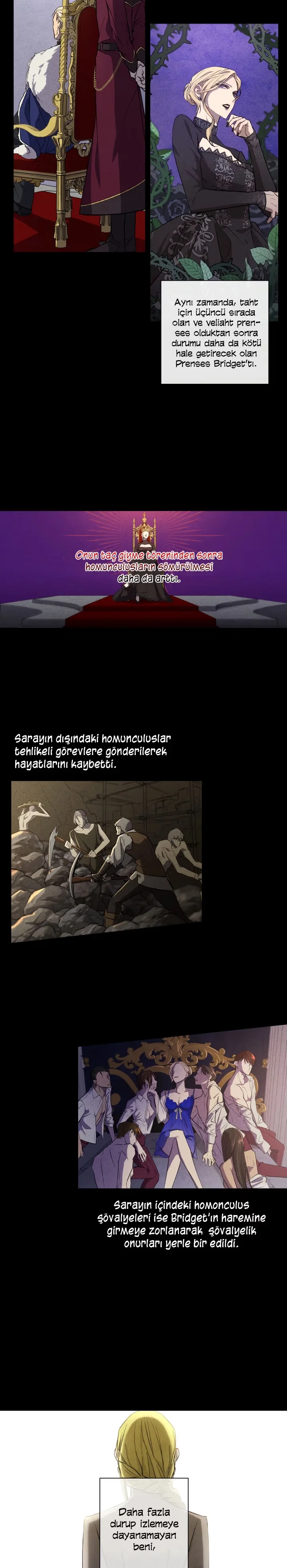 The Princess Imprints the Traitor - Bölüm 1 - Sayfa 5