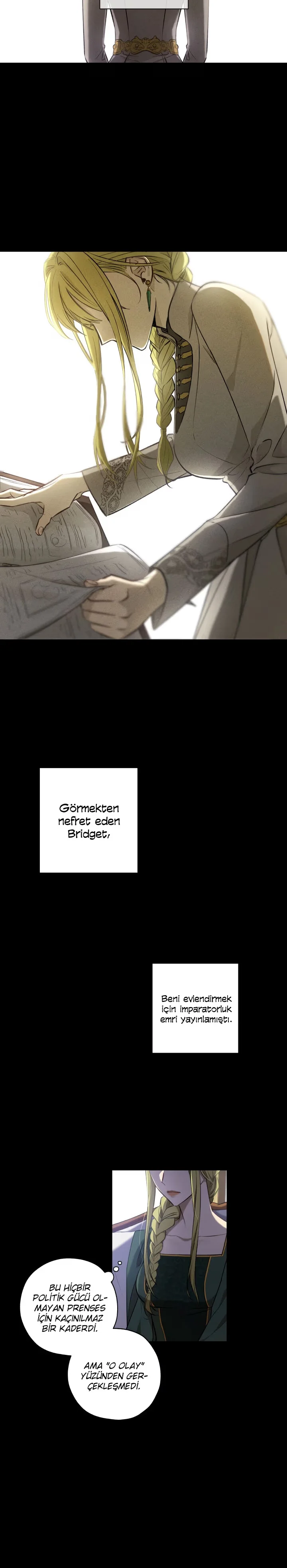 The Princess Imprints the Traitor - Bölüm 1 - Sayfa 6