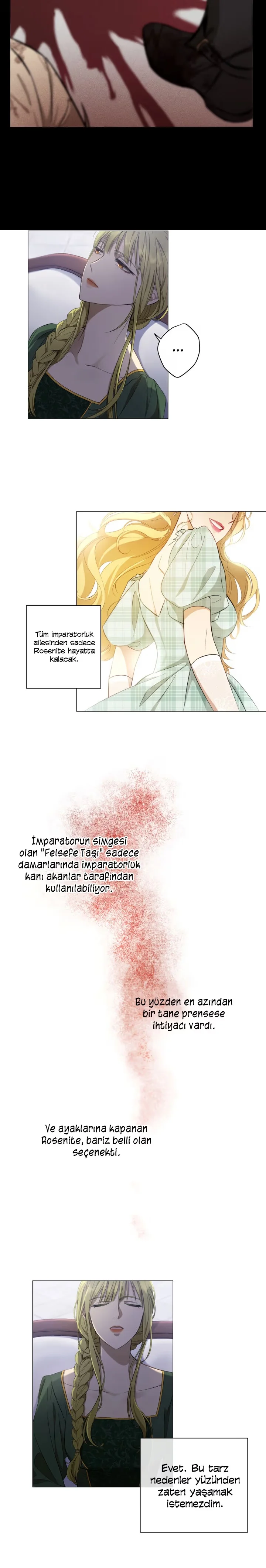 The Princess Imprints the Traitor - Bölüm 1 - Sayfa 8