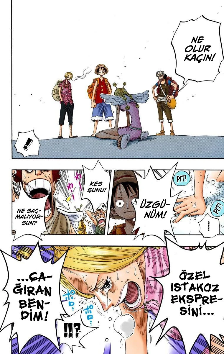 One Piece - Bölüm 244 - Sayfa 12