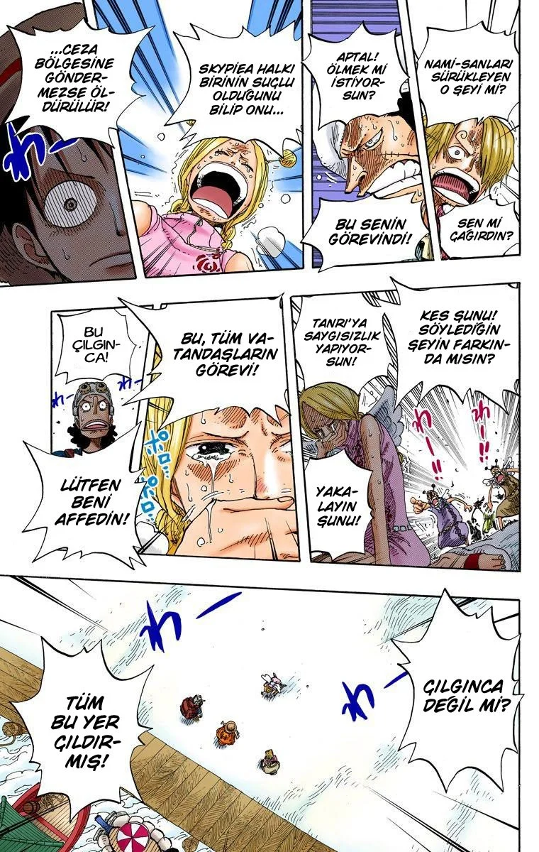 One Piece - Bölüm 244 - Sayfa 13