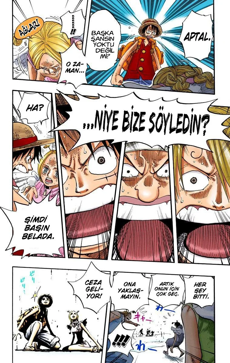 One Piece - Bölüm 244 - Sayfa 14