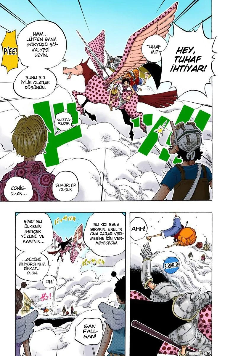 One Piece - Bölüm 244 - Sayfa 17