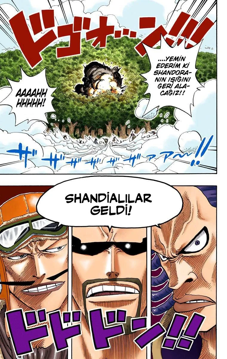 One Piece - Bölüm 251 - Sayfa 13