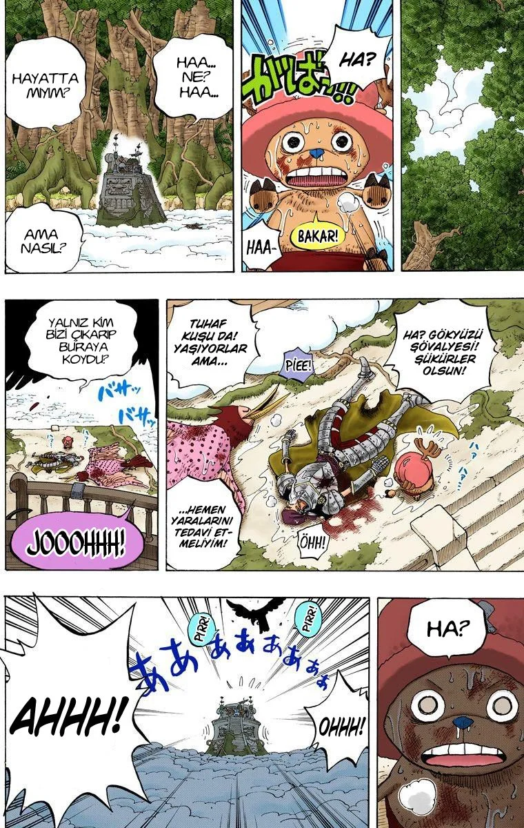 One Piece - Bölüm 251 - Sayfa 14