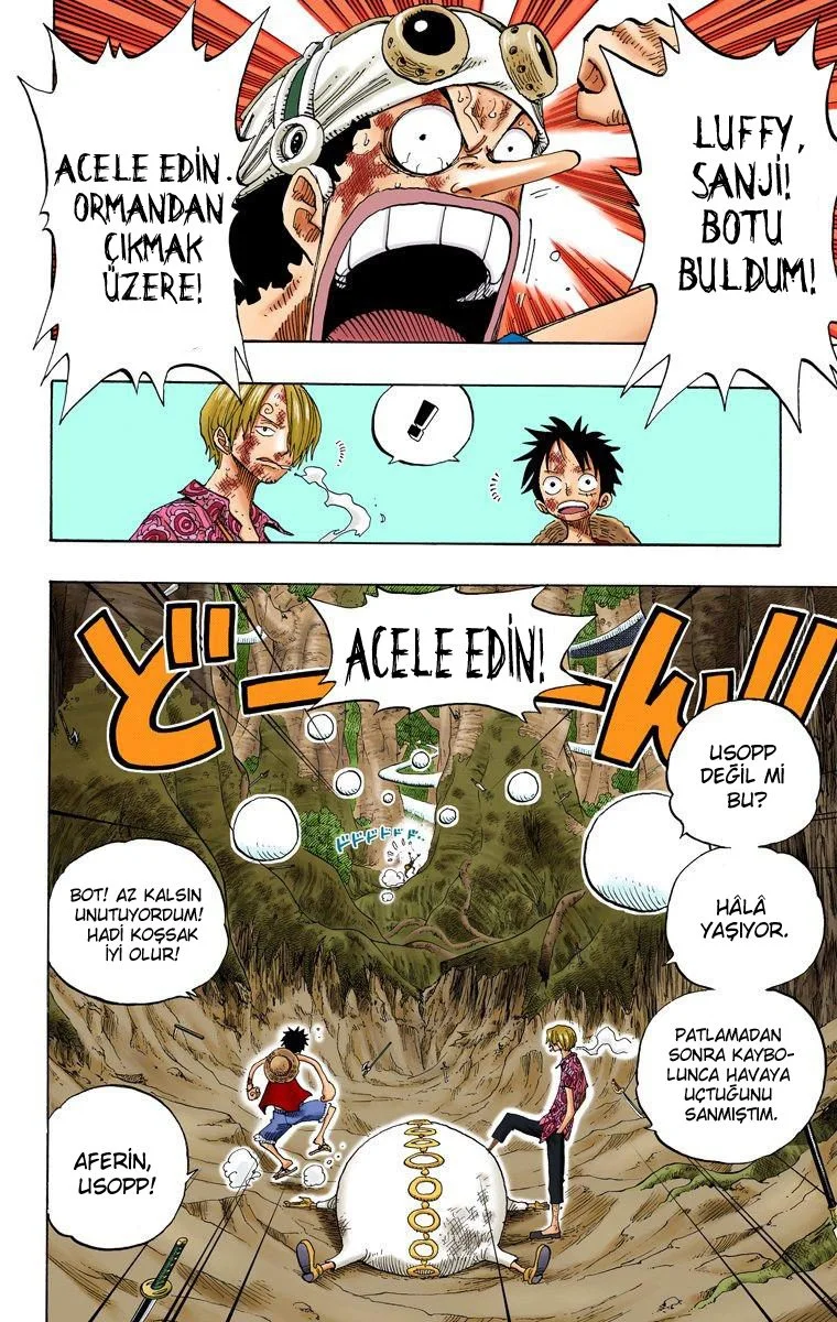 One Piece - Bölüm 251 - Sayfa 4