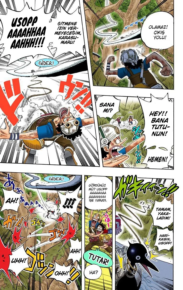 One Piece - Bölüm 251 - Sayfa 5