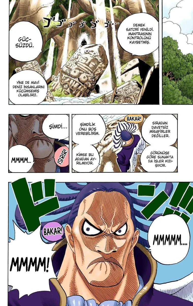One Piece - Bölüm 251 - Sayfa 8