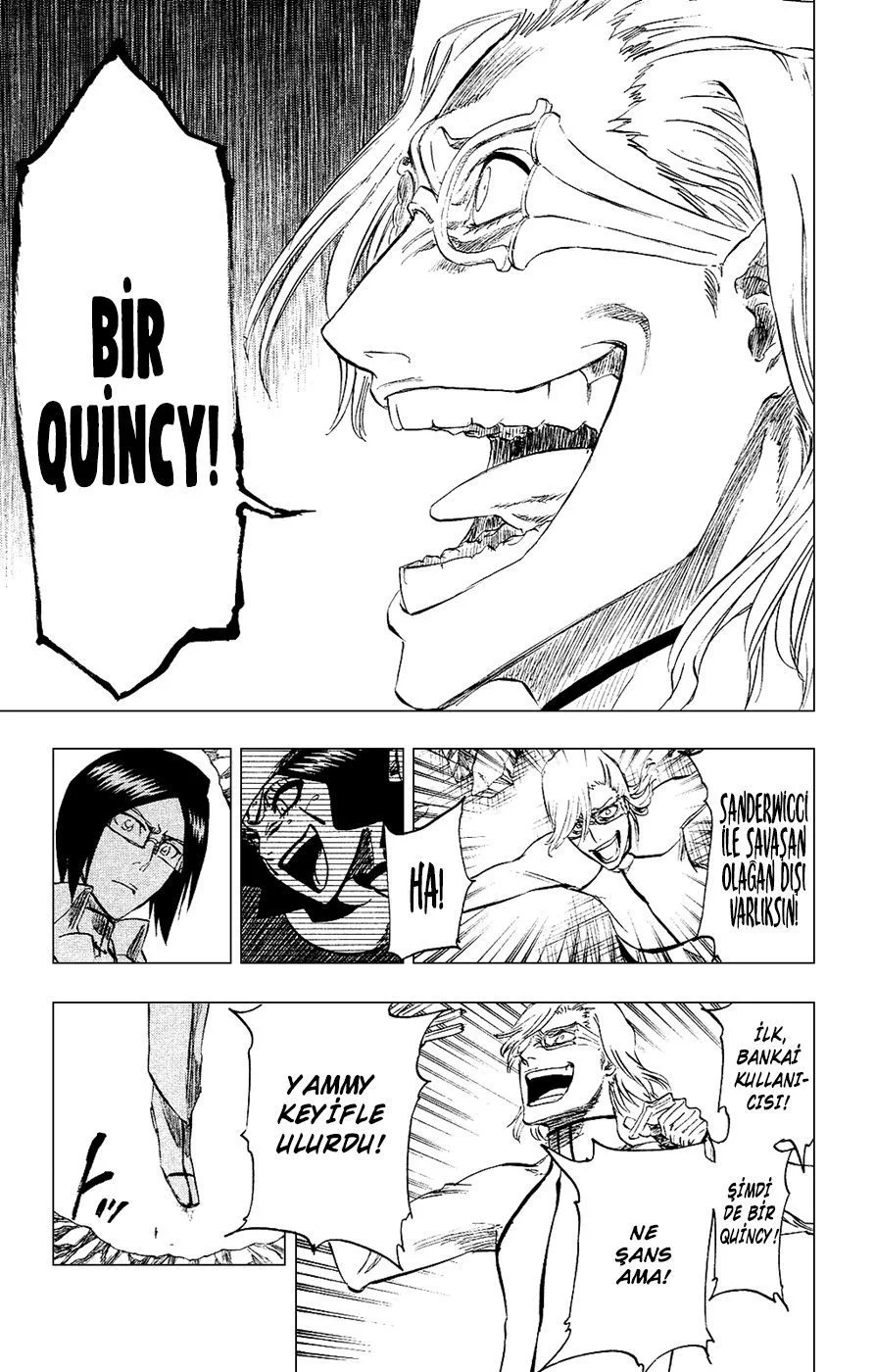 Bleach - Bölüm 273 - Sayfa 17