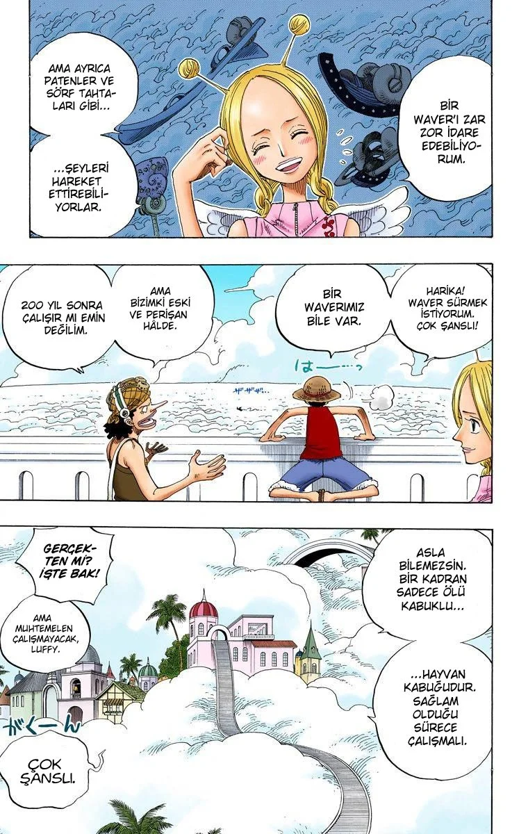One Piece - Bölüm 240 - Sayfa 13