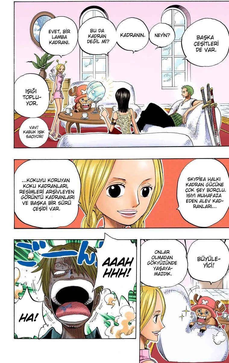 One Piece - Bölüm 240 - Sayfa 14