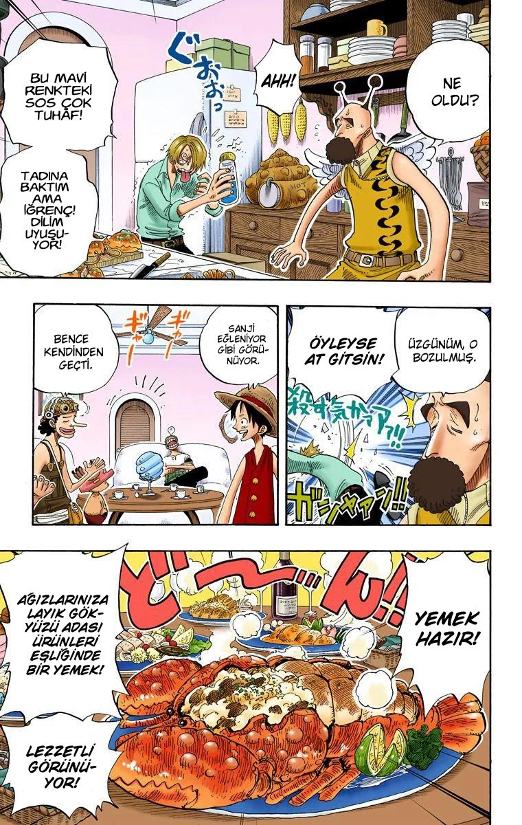 One Piece - Bölüm 240 - Sayfa 15