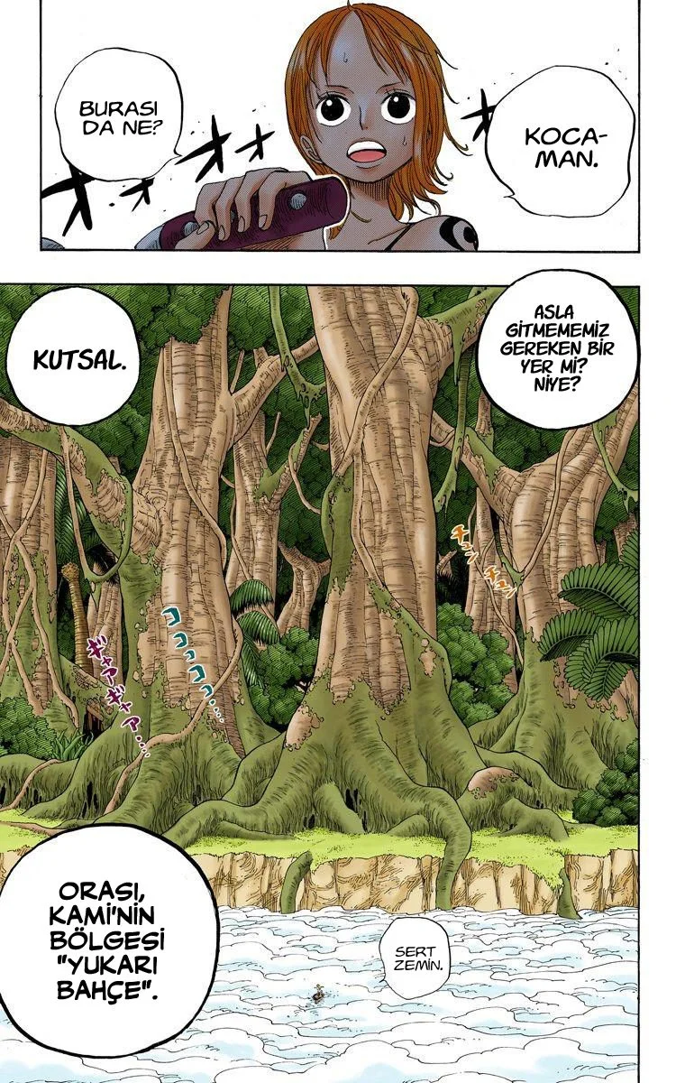One Piece - Bölüm 240 - Sayfa 17