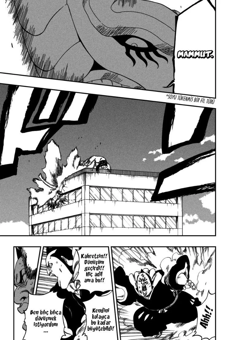 Bleach - Bölüm 331 - Sayfa 13