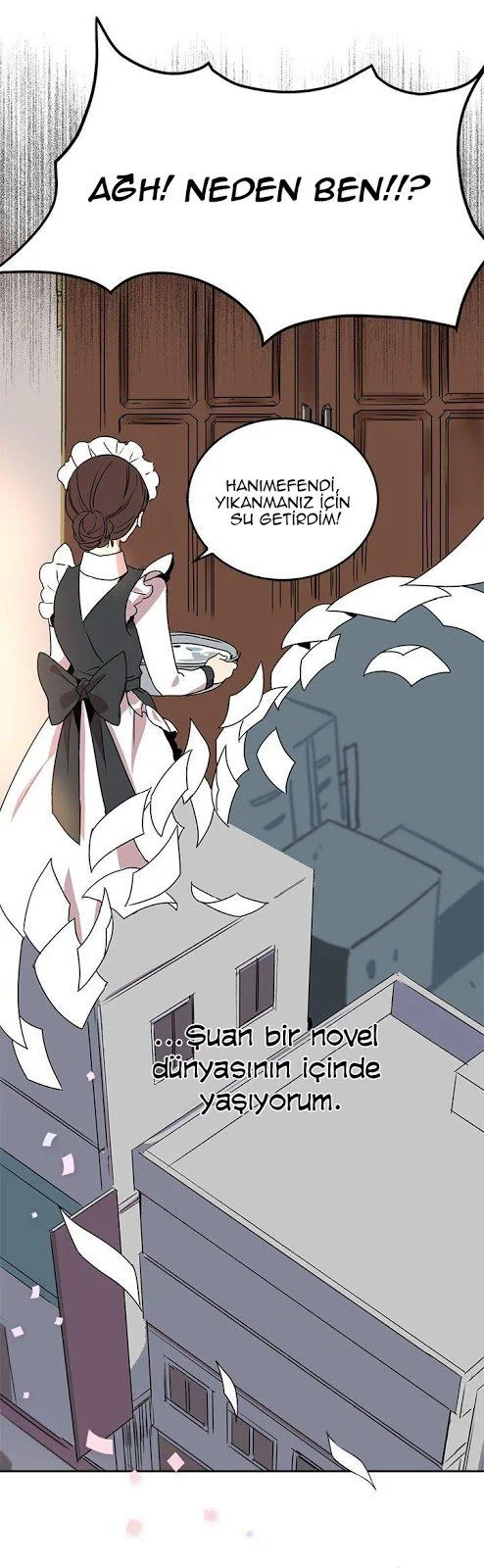 The Reason Why Raeliana Ended up at the Duke's Mansion - Bölüm 1 - Sayfa 5