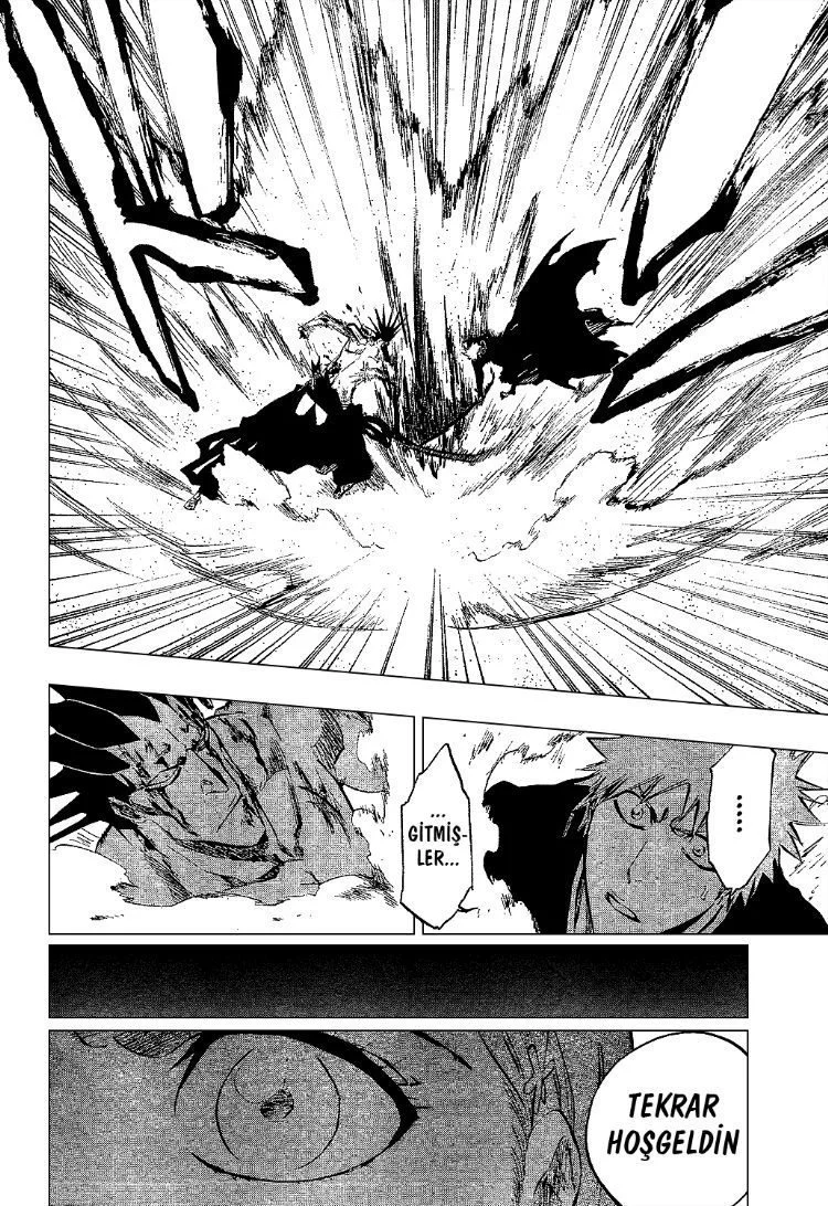 Bleach - Bölüm 313 - Sayfa 15