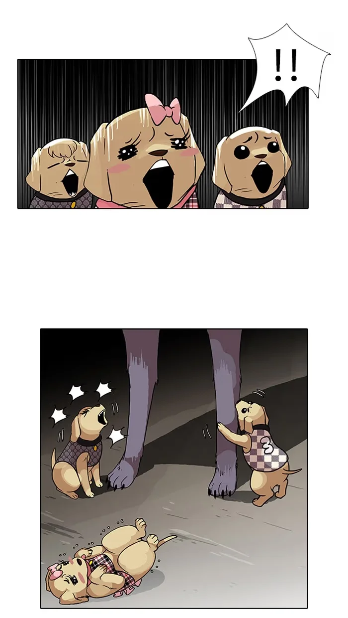 Lookism - Bölüm 69 - Sayfa 36