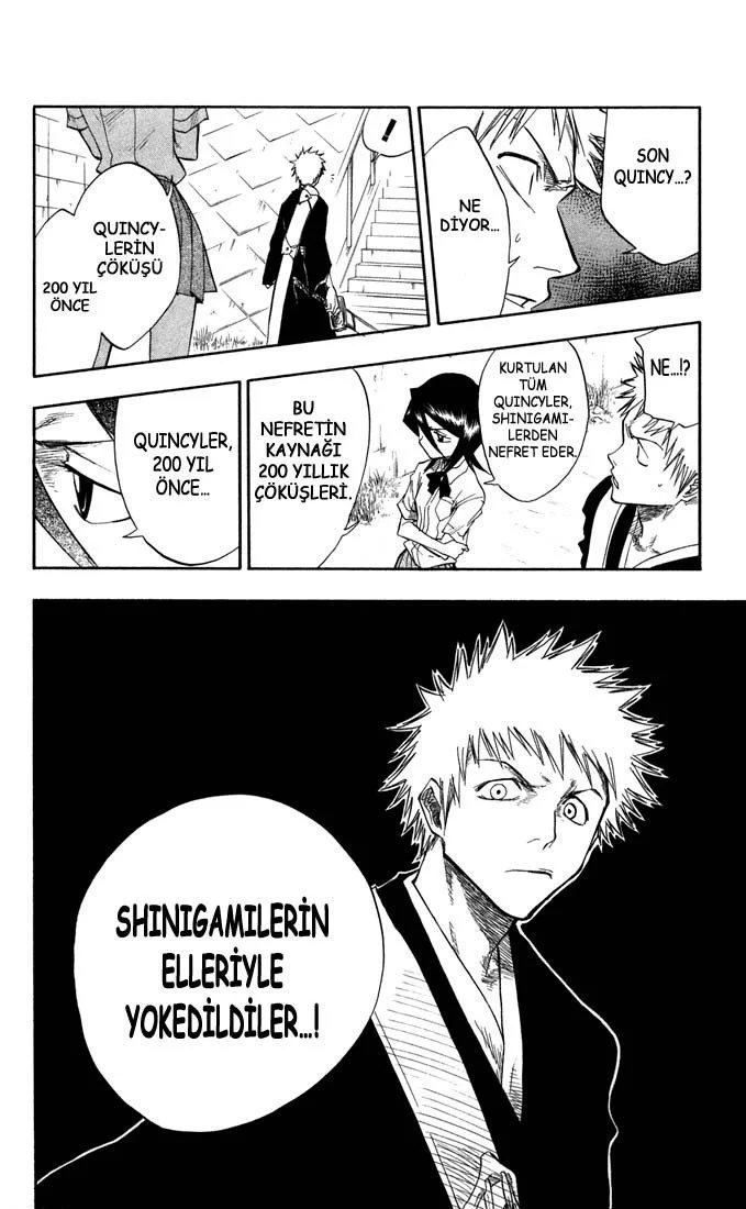 Bleach - Bölüm 45 - Sayfa 17