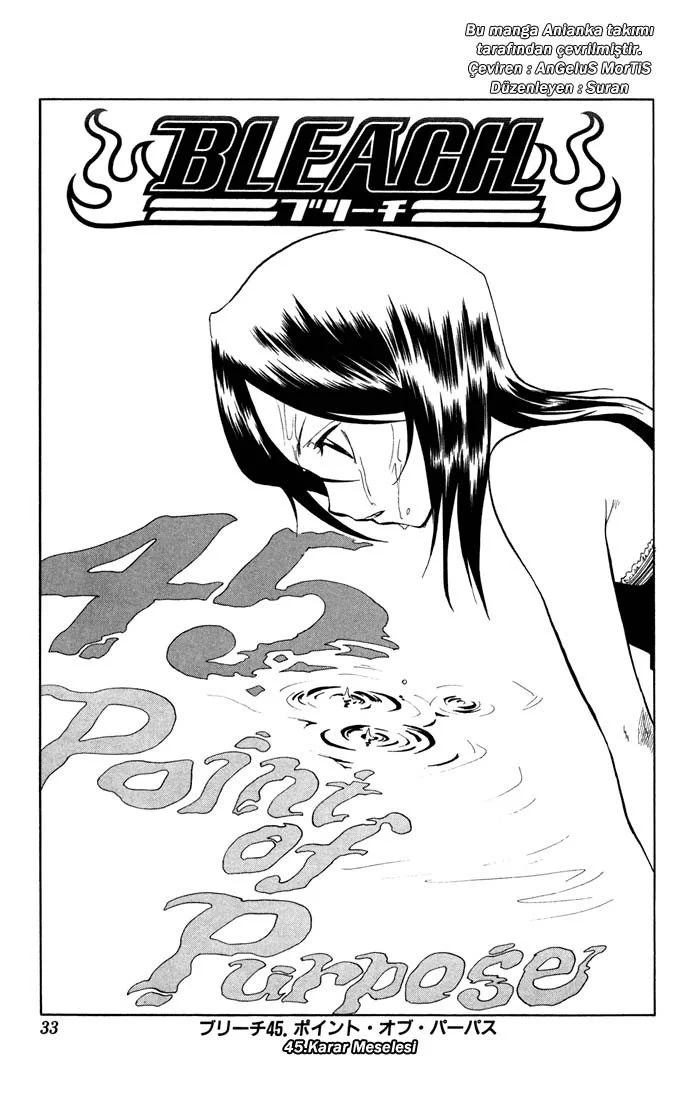 Bleach - Bölüm 45 - Sayfa 5