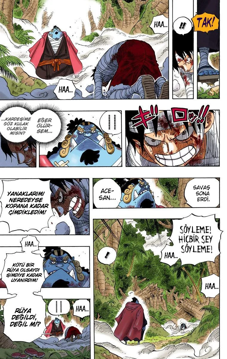 One Piece - Bölüm 582 - Sayfa 12