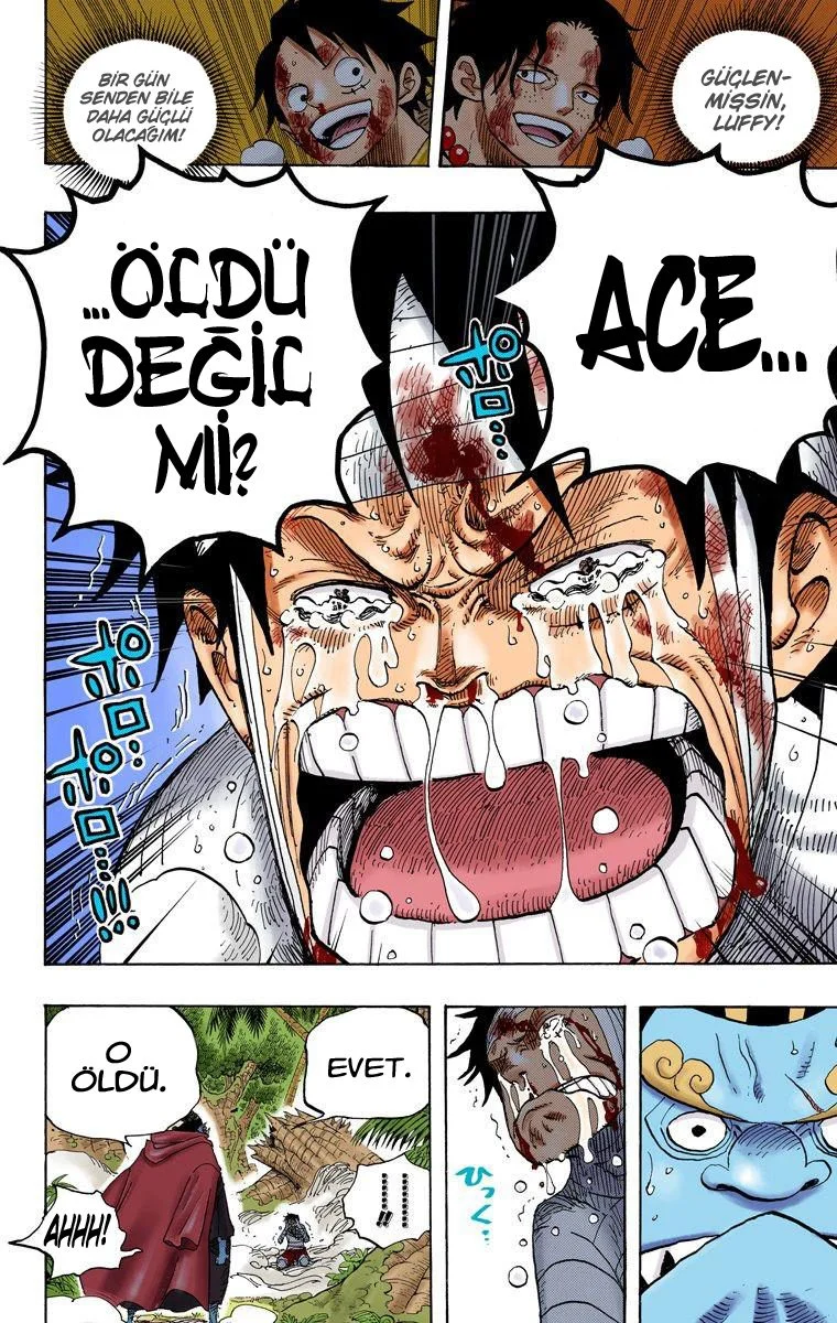 One Piece - Bölüm 582 - Sayfa 13
