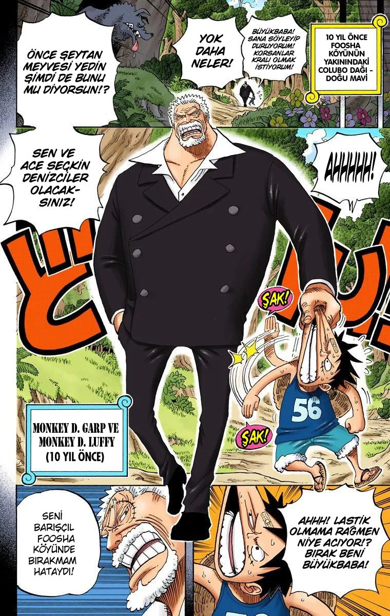 One Piece - Bölüm 582 - Sayfa 15